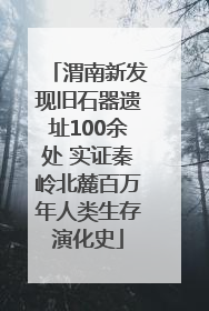 渭南新发现旧石器遗址100余处 实证秦岭北麓百万年人类生存演化史