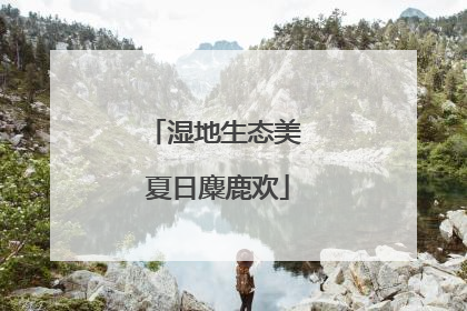 湿地生态美 夏日麋鹿欢