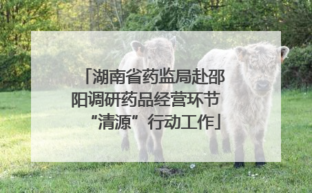 湖南省药监局赴邵阳调研药品经营环节“清源”行动工作