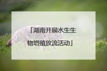 湖南开展水生生物增殖放流活动