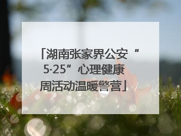 湖南张家界公安“5·25”心理健康周活动温暖警营