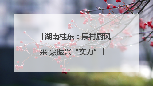 湖南桂东：展村厨风采 烹振兴“实力”