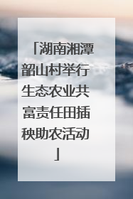 湖南湘潭韶山村举行生态农业共富责任田插秧助农活动