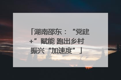 湖南邵东：“党建+”赋能 跑出乡村振兴“加速度”