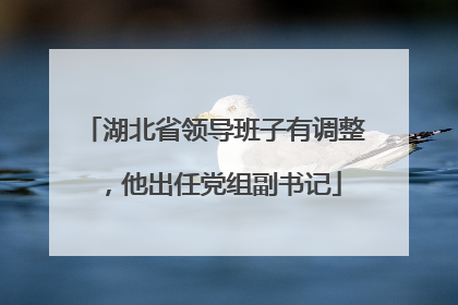 湖北省领导班子有调整，他出任党组副书记