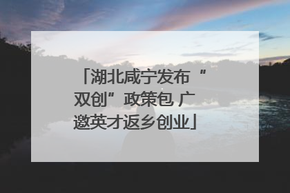 湖北咸宁发布“双创”政策包 广邀英才返乡创业