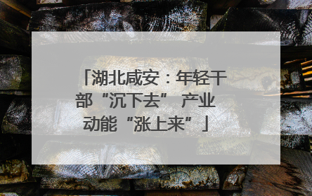 湖北咸安：年轻干部“沉下去” 产业动能“涨上来”