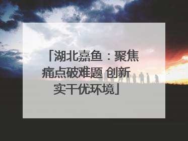 湖北嘉鱼：聚焦痛点破难题 创新实干优环境