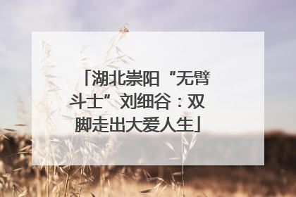 湖北崇阳“无臂斗士”刘细谷：双脚走出大爱人生