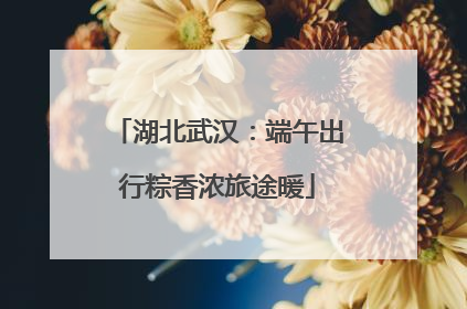 湖北武汉：端午出行粽香浓旅途暖