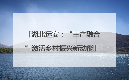 湖北远安：“三产融合”激活乡村振兴新动能