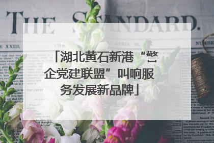 湖北黄石新港“警企党建联盟”叫响服务发展新品牌