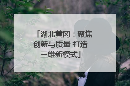 湖北黄冈：聚焦创新与质量 打造三维新模式