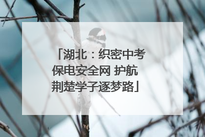 湖北：织密中考保电安全网 护航荆楚学子逐梦路