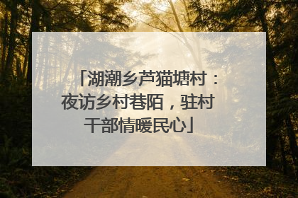 湖潮乡芦猫塘村：夜访乡村巷陌，驻村干部情暖民心
