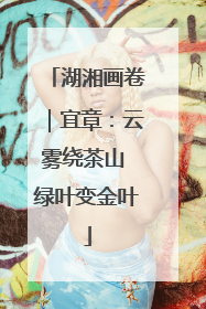 湖湘画卷｜宜章：云雾绕茶山 绿叶变金叶