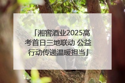 湘窖酒业2025高考首日三地联动 公益行动传递温暖担当