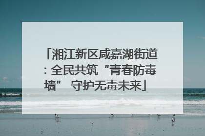 湘江新区咸嘉湖街道：全民共筑“青春防毒墙” 守护无毒未来
