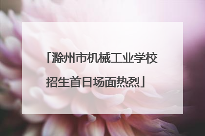 滁州市机械工业学校招生首日场面热烈