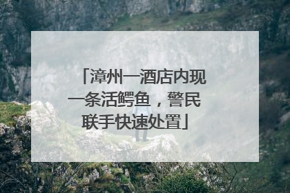 漳州一酒店内现一条活鳄鱼，警民联手快速处置