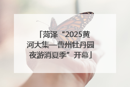 菏泽“2025黄河大集—曹州牡丹园夜游消夏季”开幕