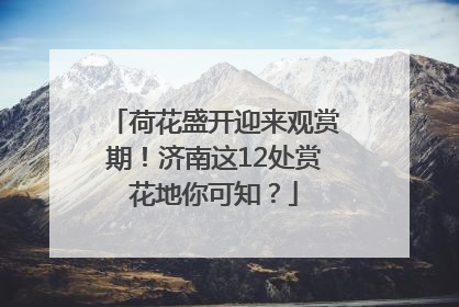 荷花盛开迎来观赏期！济南这12处赏花地你可知？