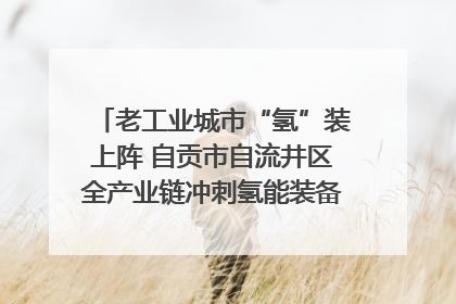 老工业城市“氢”装上阵 自贡市自流井区全产业链冲刺氢能装备制造新高地｜美好生活有“盐”味