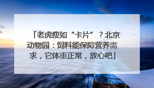 老虎瘦如“卡片”？北京动物园：饲料能保障营养需求，它体重正常，放心吧