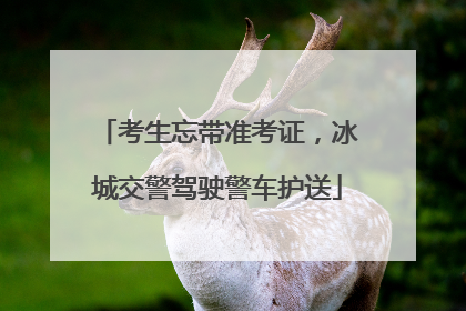 考生忘带准考证，冰城交警驾驶警车护送