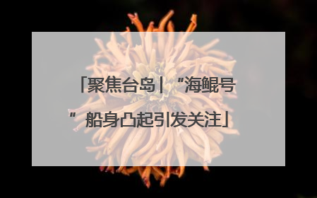 聚焦台岛│“海鲲号”船身凸起引发关注