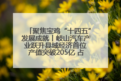 聚焦宝鸡“十四五”发展成就丨岐山汽车产业跃升县域经济首位 产值突破205亿 占规上工业75%