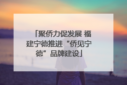 聚侨力促发展 福建宁德推进“侨见宁德”品牌建设
