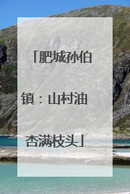 肥城孙伯镇：山村油杏满枝头