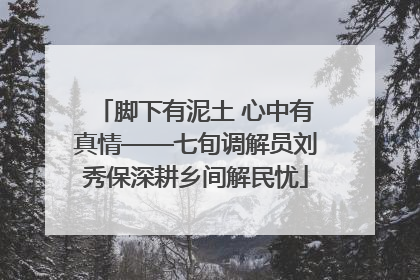 脚下有泥土 心中有真情——七旬调解员刘秀保深耕乡间解民忧