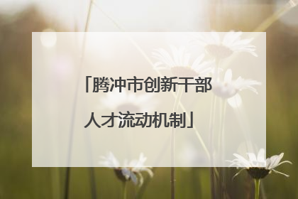 腾冲市创新干部人才流动机制