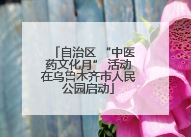 自治区 “中医药文化月” 活动在乌鲁木齐市人民公园启动