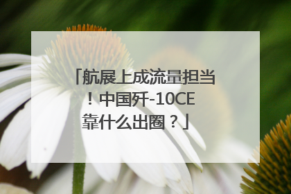 航展上成流量担当！中国歼-10CE靠什么出圈？