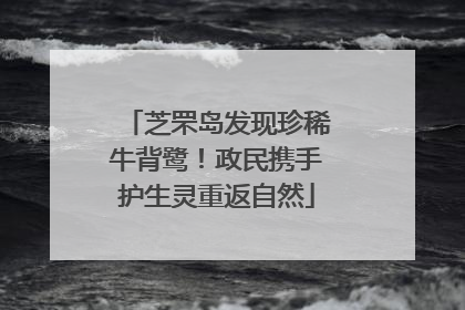芝罘岛发现珍稀牛背鹭！政民携手护生灵重返自然