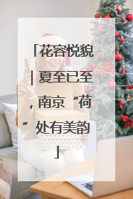花容悦貌｜夏至已至，南京“荷”处有美韵
