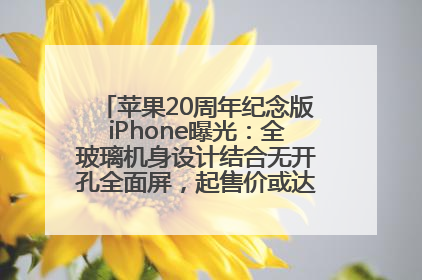 苹果20周年纪念版iPhone曝光：全玻璃机身设计结合无开孔全面屏，起售价或达1.45万人民币