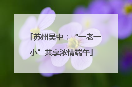 苏州吴中：“一老一小”共享浓情端午