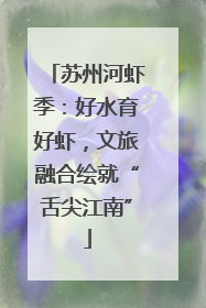 苏州河虾季：好水育好虾，文旅融合绘就“舌尖江南”