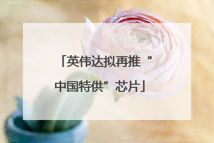 英伟达拟再推“中国特供”芯片