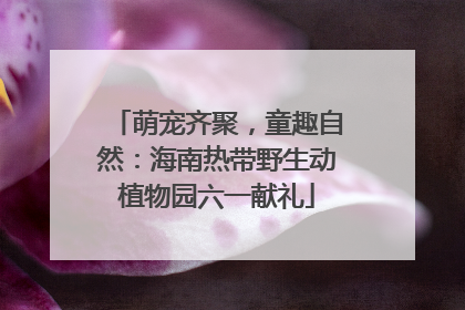 萌宠齐聚，童趣自然：海南热带野生动植物园六一献礼