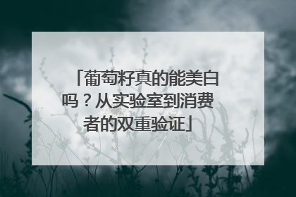 葡萄籽真的能美白吗？从实验室到消费者的双重验证
