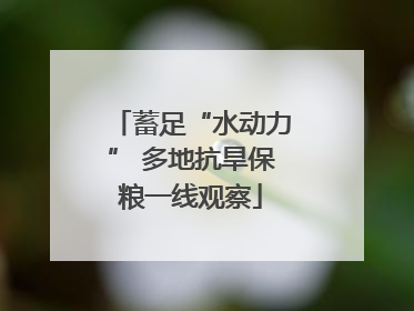 蓄足“水动力” 多地抗旱保粮一线观察