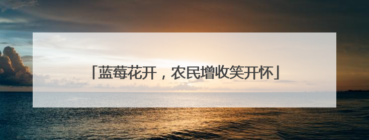 蓝莓花开，农民增收笑开怀