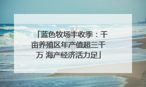 蓝色牧场丰收季：千亩养殖区年产值超三千万 海产经济活力足