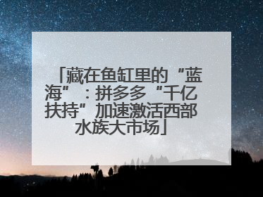 藏在鱼缸里的“蓝海”：拼多多“千亿扶持”加速激活西部水族大市场