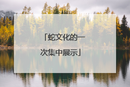 蛇文化的一次集中展示